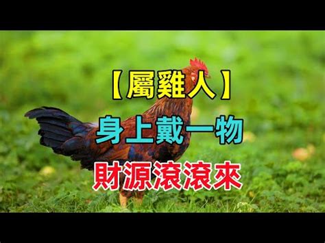 屬雞戴黃金|生肖屬雞戴黃金合適嗎 看看有什麽講究